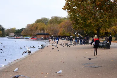 DSC_0637 (Large).JPG